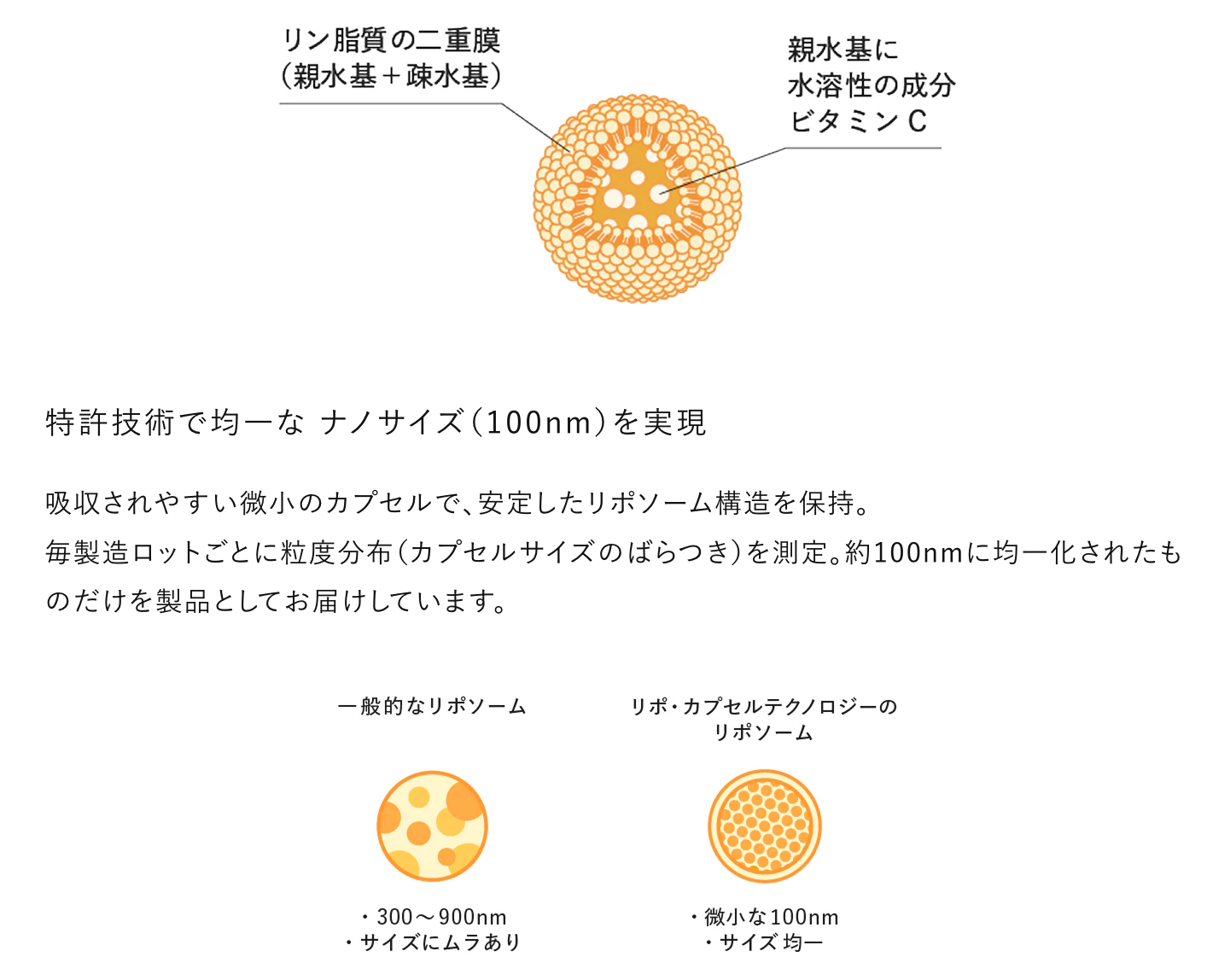 Lypo-C リポカプセルビタミンC 30包入